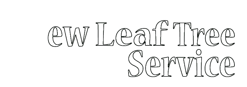 New Leaf Tree